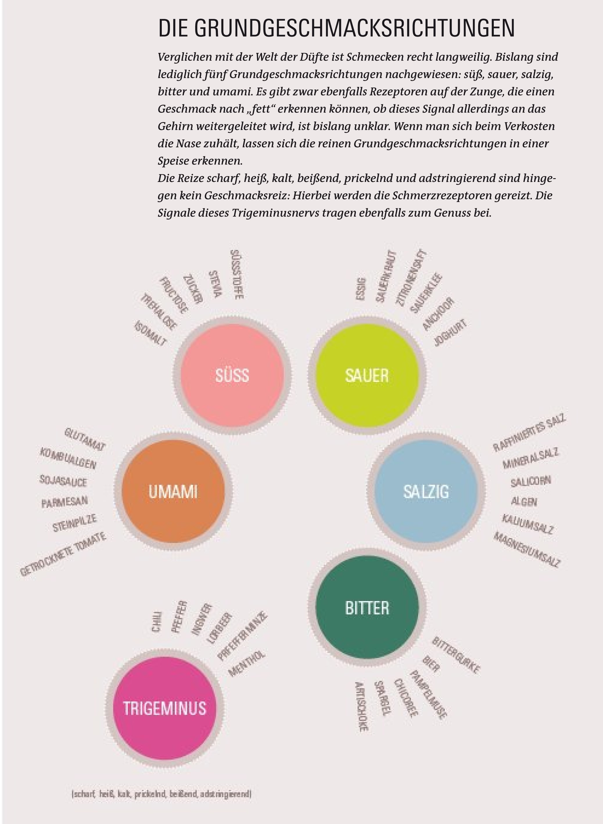Grundgeschmacksrichtungen beim Kochen (Basis für Foodpairing)