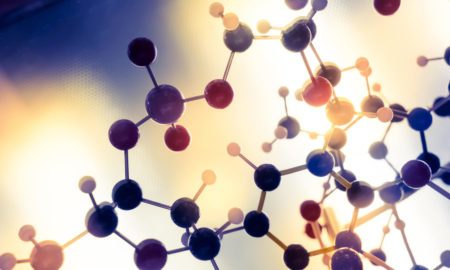 Food Pairing Molecule for chefs