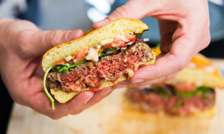 Vegan meat less Burger Testing