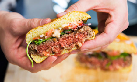 Alternative Protein-Burger im Test