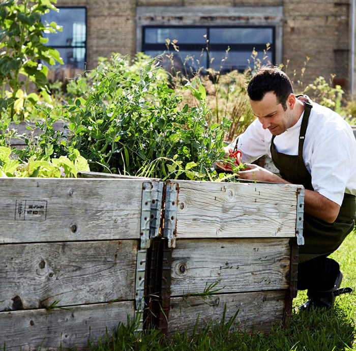 Zero-Waste in der Gastronomie: Matt Orlando im eigenen Kräutergarten