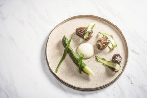 Dish fusion food