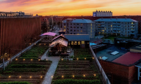 Urban Gardening