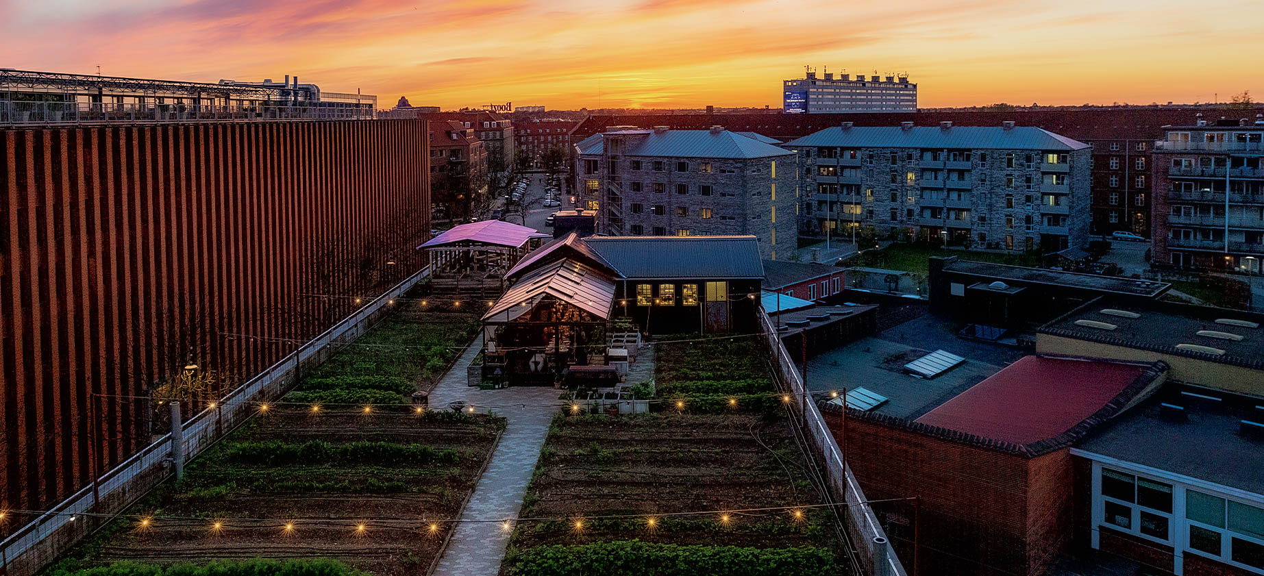 Urban Gardening