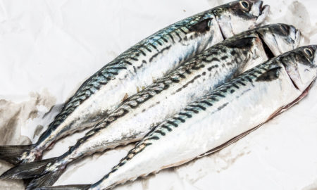 Fish that is not endangered due to overfishing as means toward a more sustainable world.