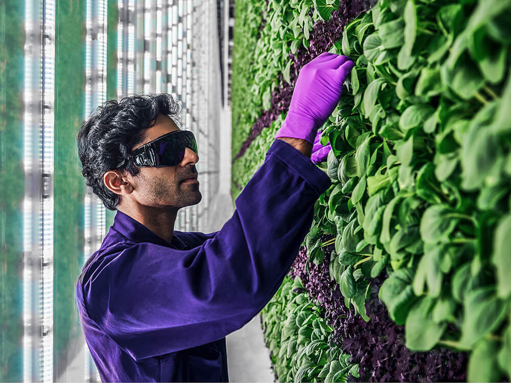 Vertical Farming