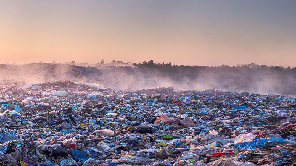 plastic waste food trend