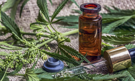 CBD Oil Essen Küche