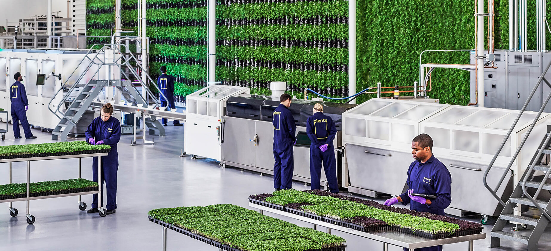vertical farming agriculture