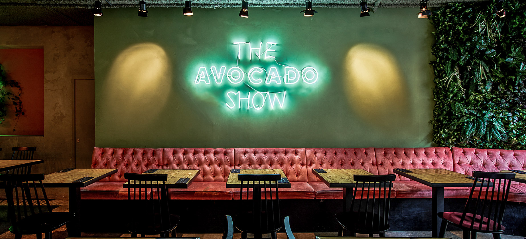 The Avocado Shop