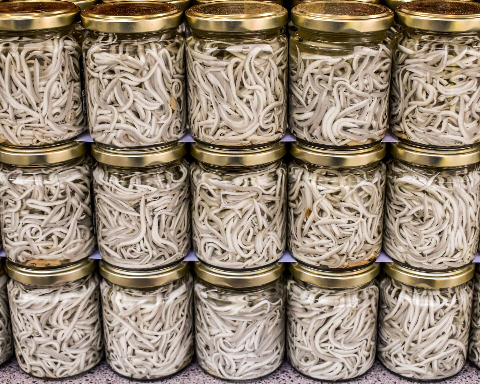 Food School: glass eels How to cook menu restaurant