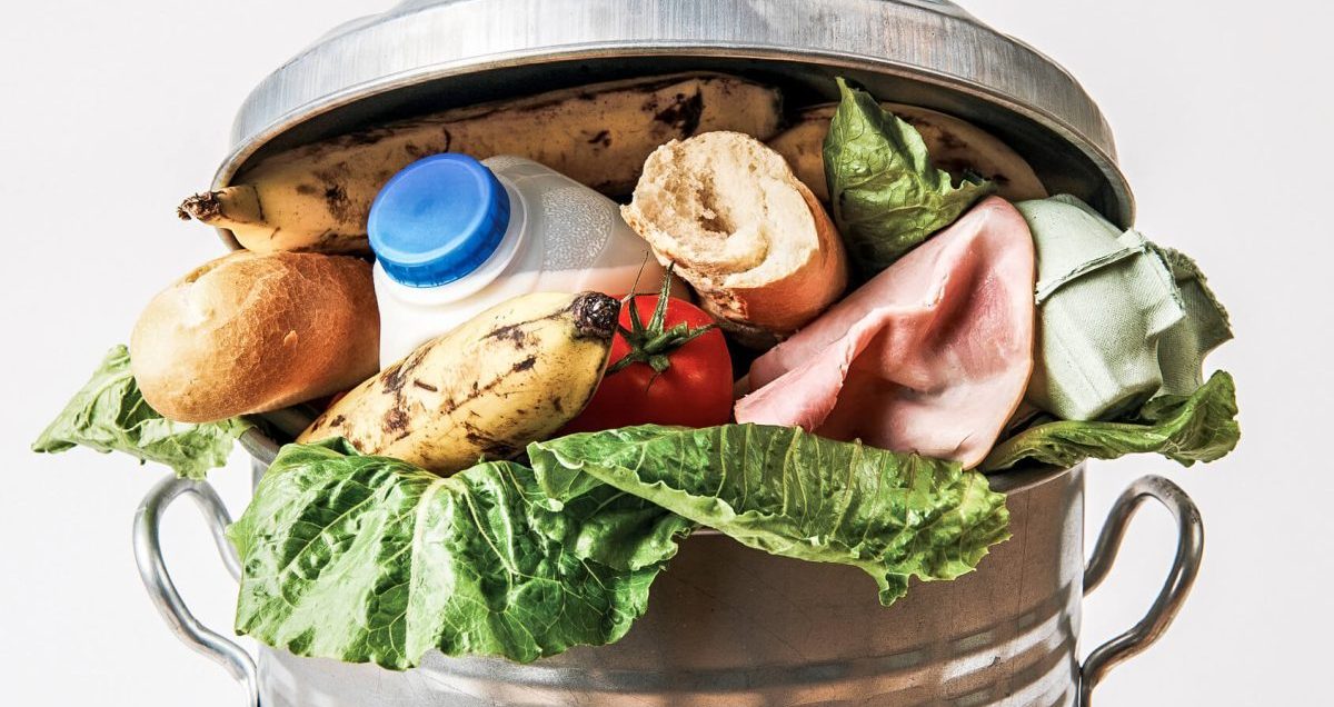 Various food waste in a waste garbage can