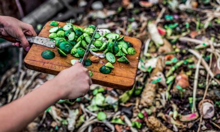 Food is often thrown into the compost and not fully utilized.