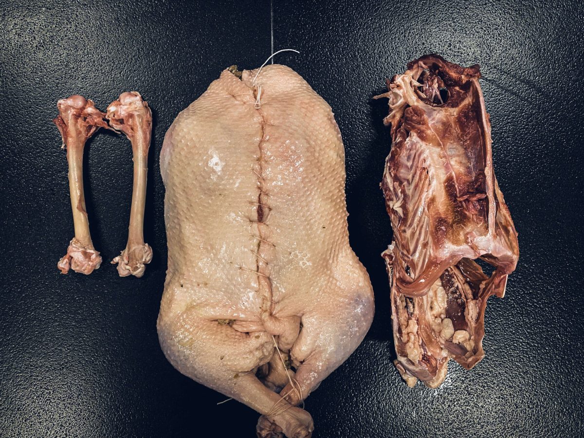 Gans, der vor dem Braten die Knochen entfernt wurden. Gericht von Simon Kolar.