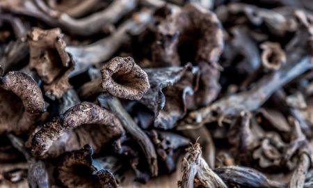 mushroom for cooking and eating in a restaurant