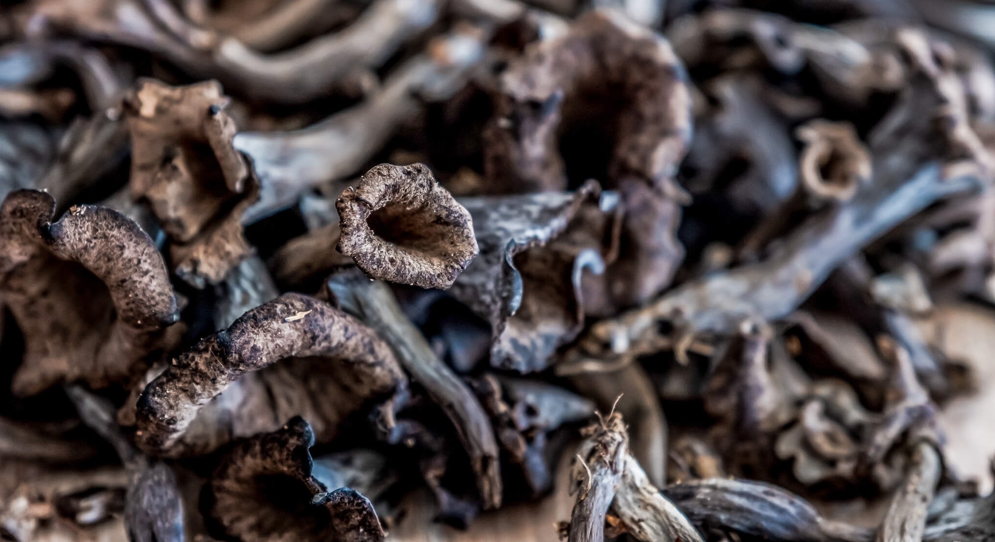 mushroom for cooking and eating in a restaurant