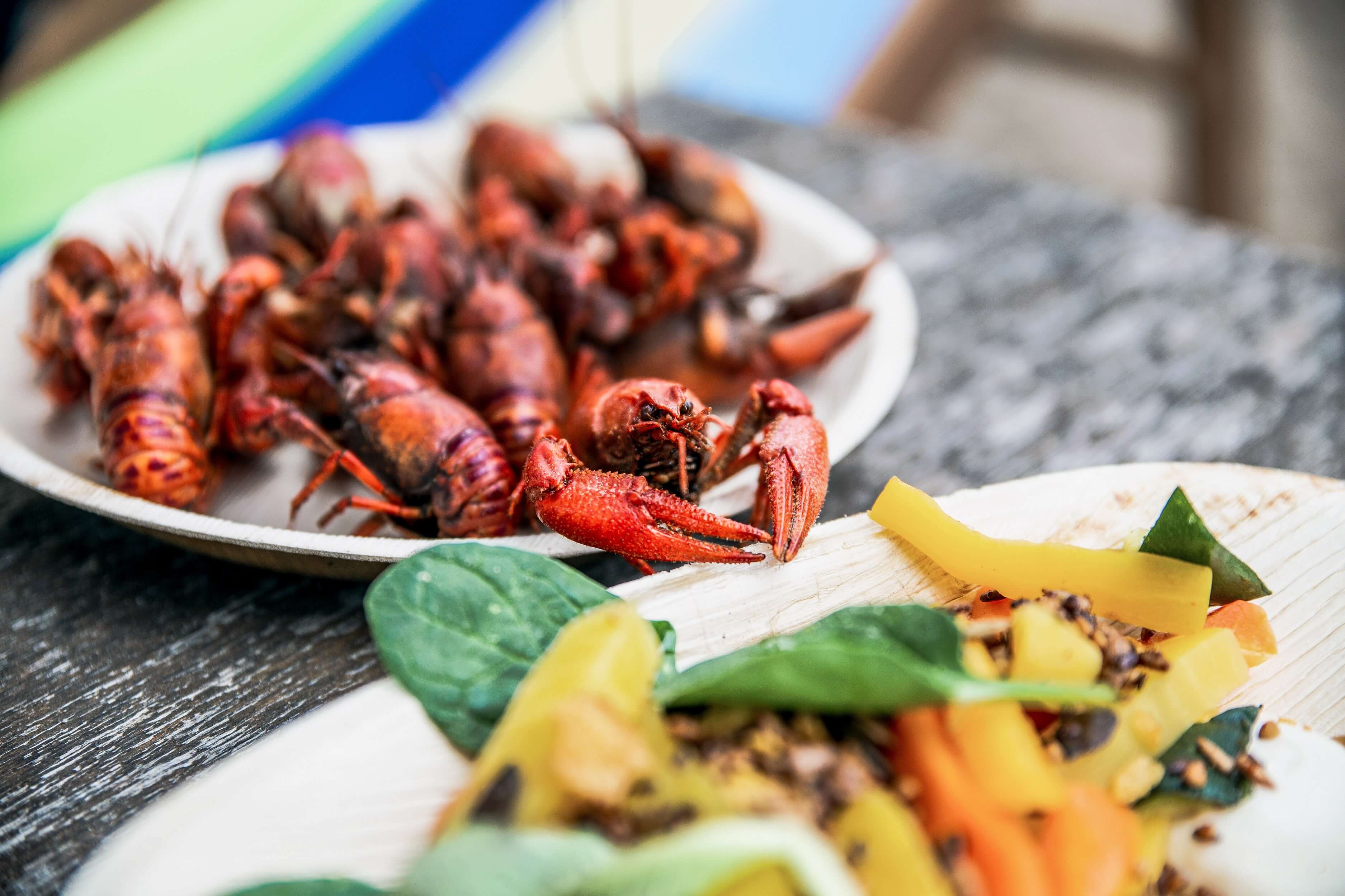 In particular, invasive species, such as crabs, end up on the plate at HolyCrab. 