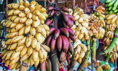 Red and yellow bananas at a street market in Sri Lanka