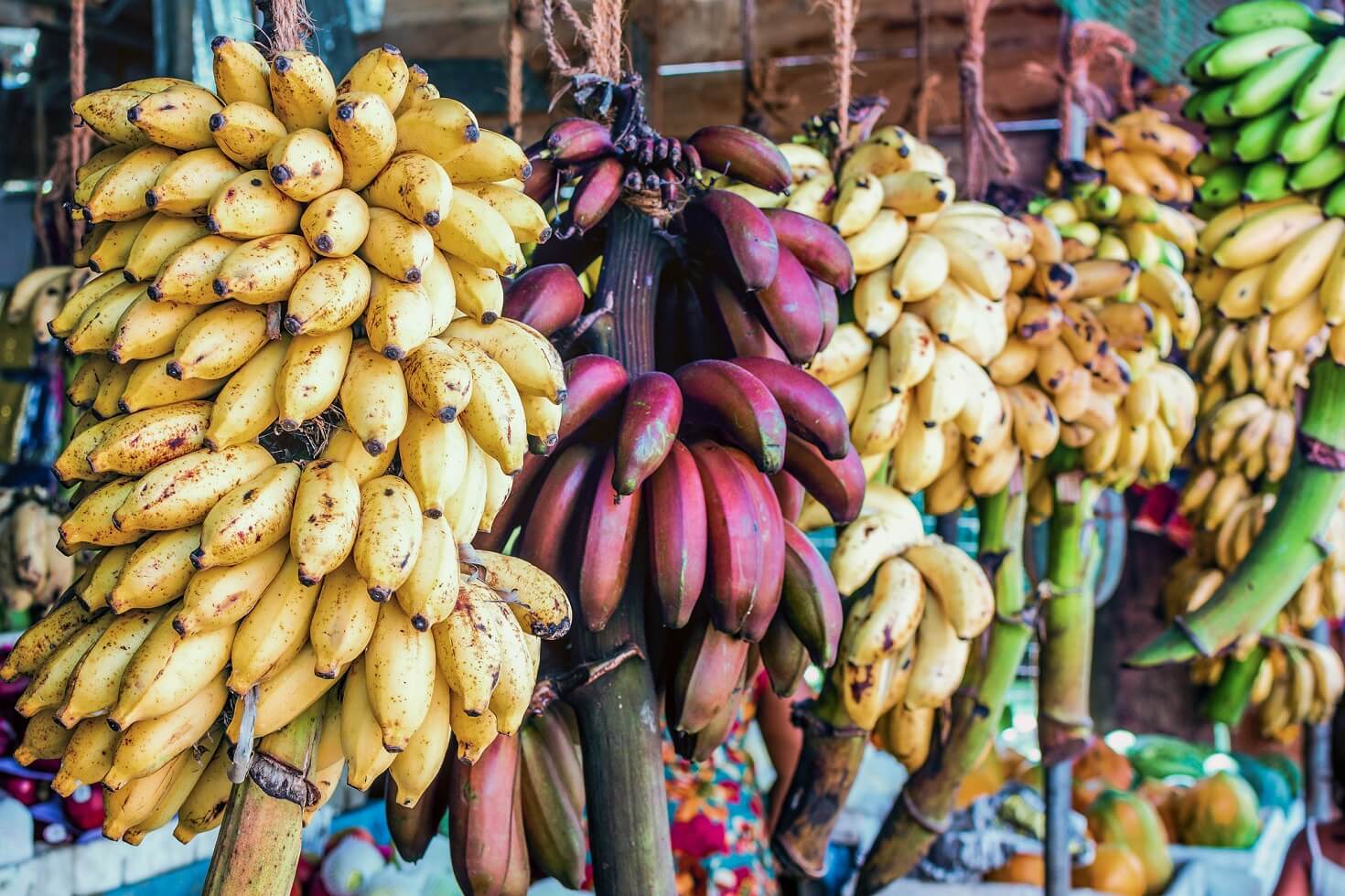 Red and yellow bananas at a street market in Sri Lanka