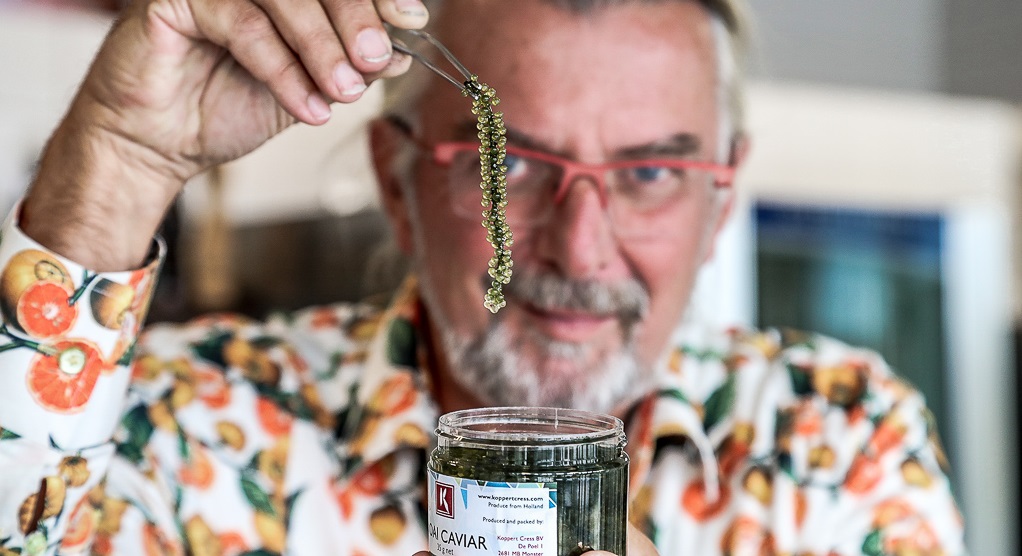 Rob Baan holding Moai Caviar - a light green sea grape looking similar to caviar.