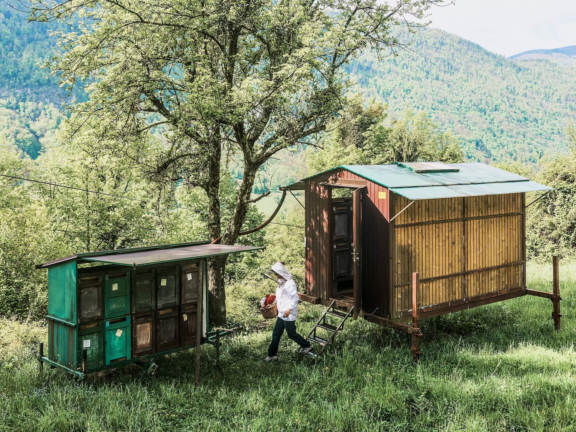 Chefin Ana Roš Best Female Chef Netflix Chefs Table