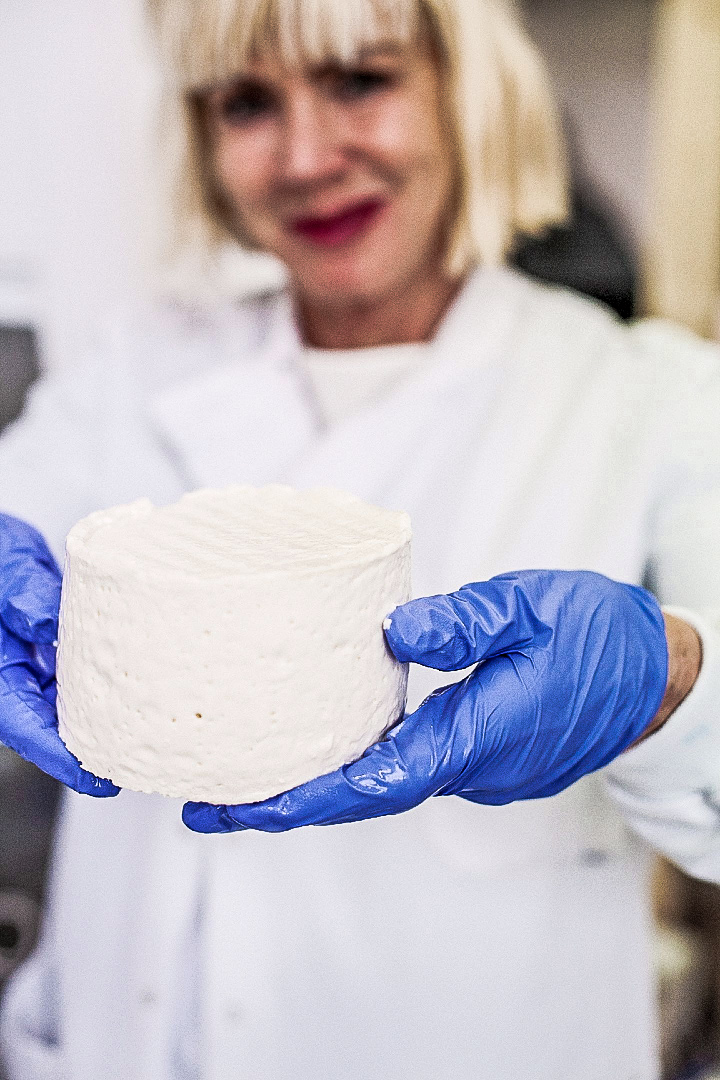 Sissel Tolaas zeigt aus welchen Bakterien man Käse herstellen kann.