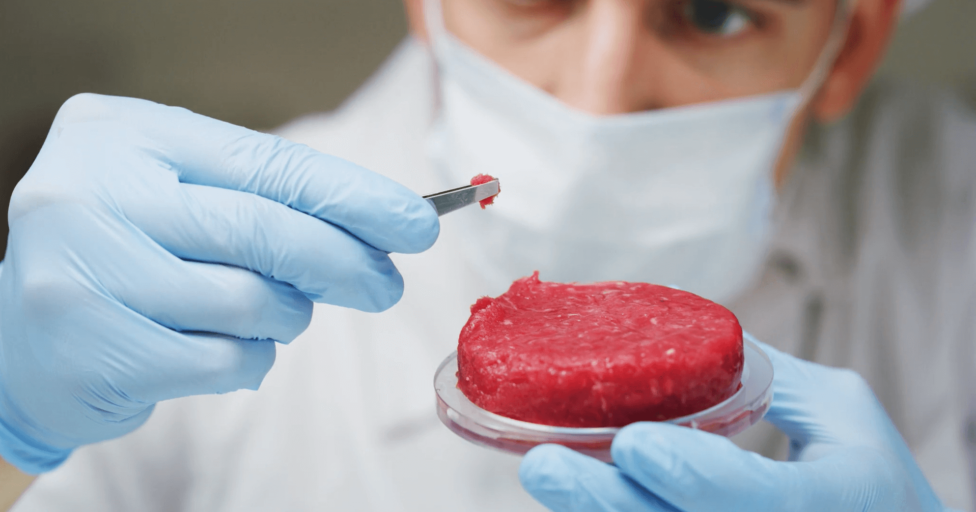 Wie sieht gedrucktes in-vitro Fleisch aus?