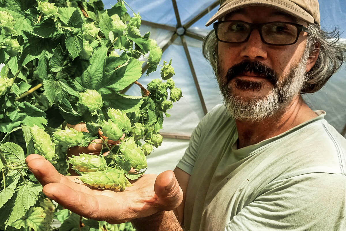 Gareth Davies plants special hops in his Dark Farm.