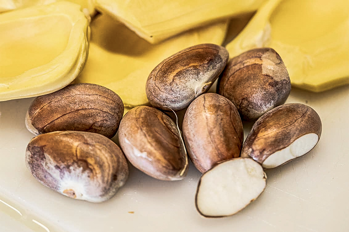 even the seeds of the jackfruit can be eaten