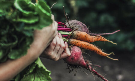 Fleischlose Ernährung ist weiterhin stark im Trend