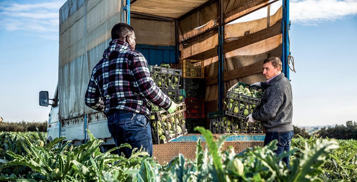 Blockchain technology allows chefs to track food from the field to the plate.