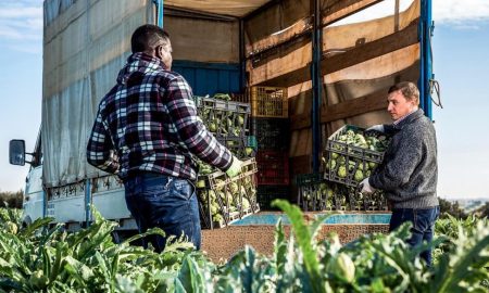 Der Trend Regenerative Food beschäftigt sich damit, wie Felder bestellt werden können um gegen den Klimawandel anzukämpfen.