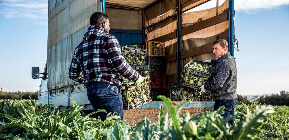 Der Trend Regenerative Food beschäftigt sich damit, wie Felder bestellt werden können um gegen den Klimawandel anzukämpfen.