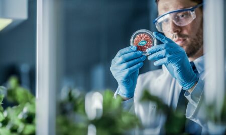 Man looking at lab grown cultured vegan meat.