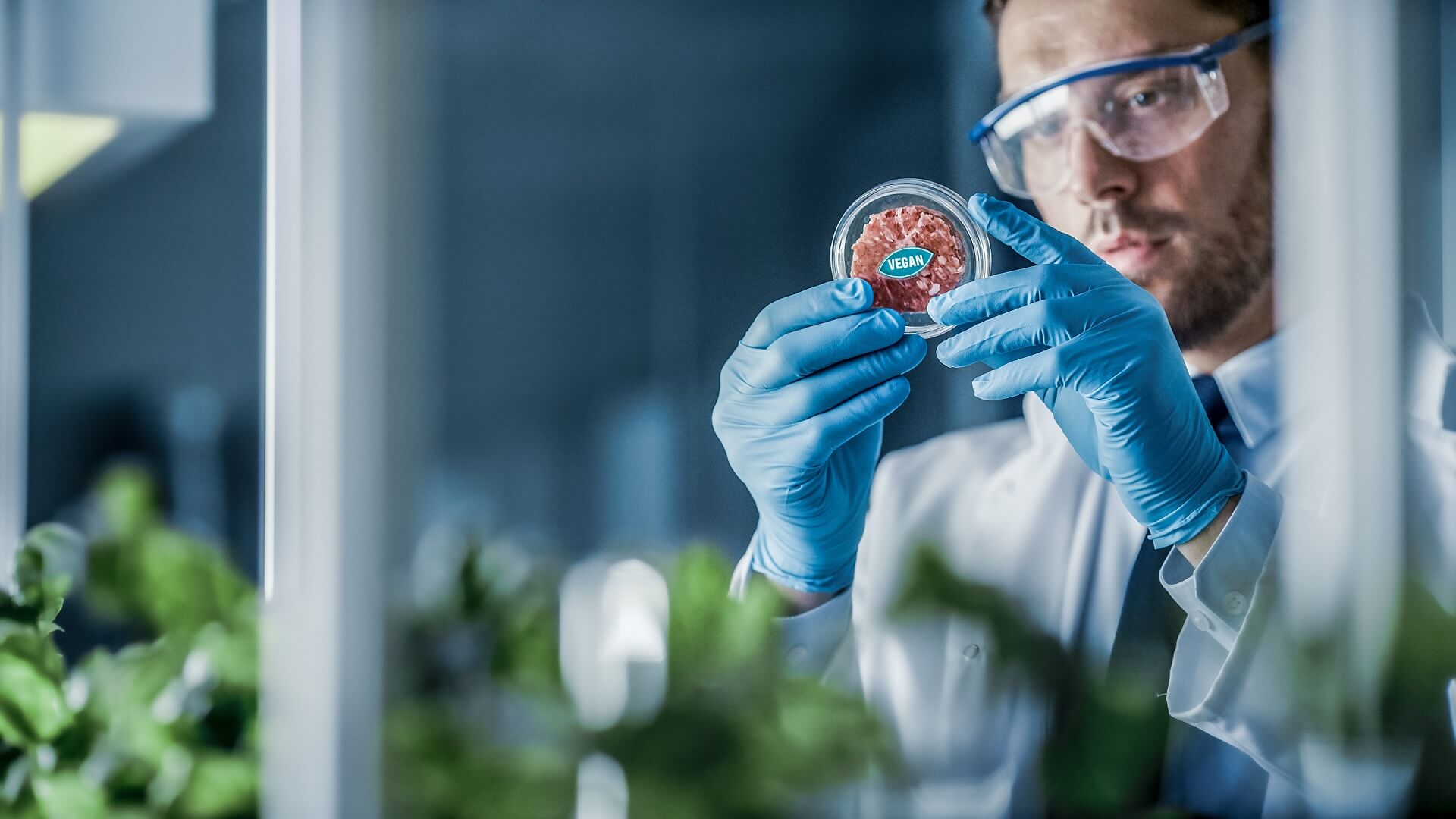 Man looking at lab grown cultured vegan meat.