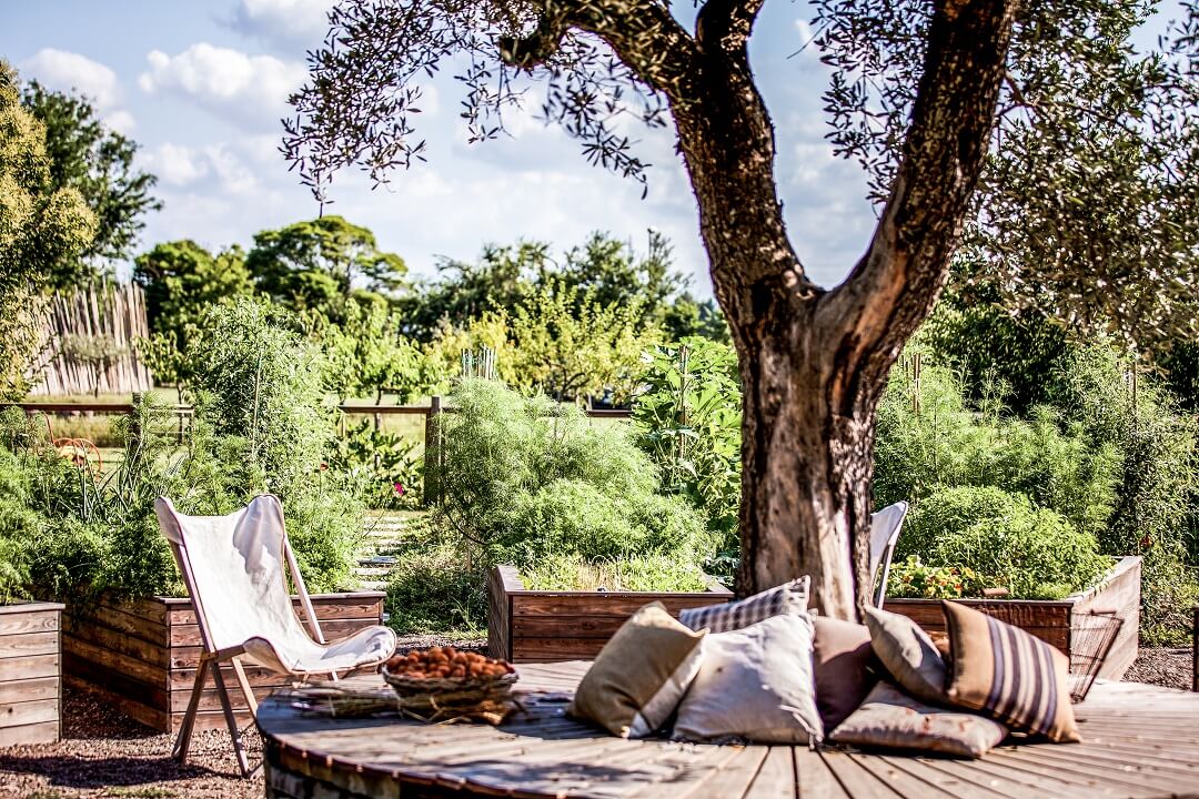 Blick in den restauranteigenen Kräuter- und Gemüsegarten mit gemütlicher Relax-Area unter einem Olivenbaum. 