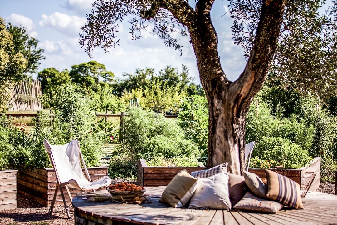 The restaurant's own garden with fresh herbs and vegetables with a cozy relaxation area under an olive tree.