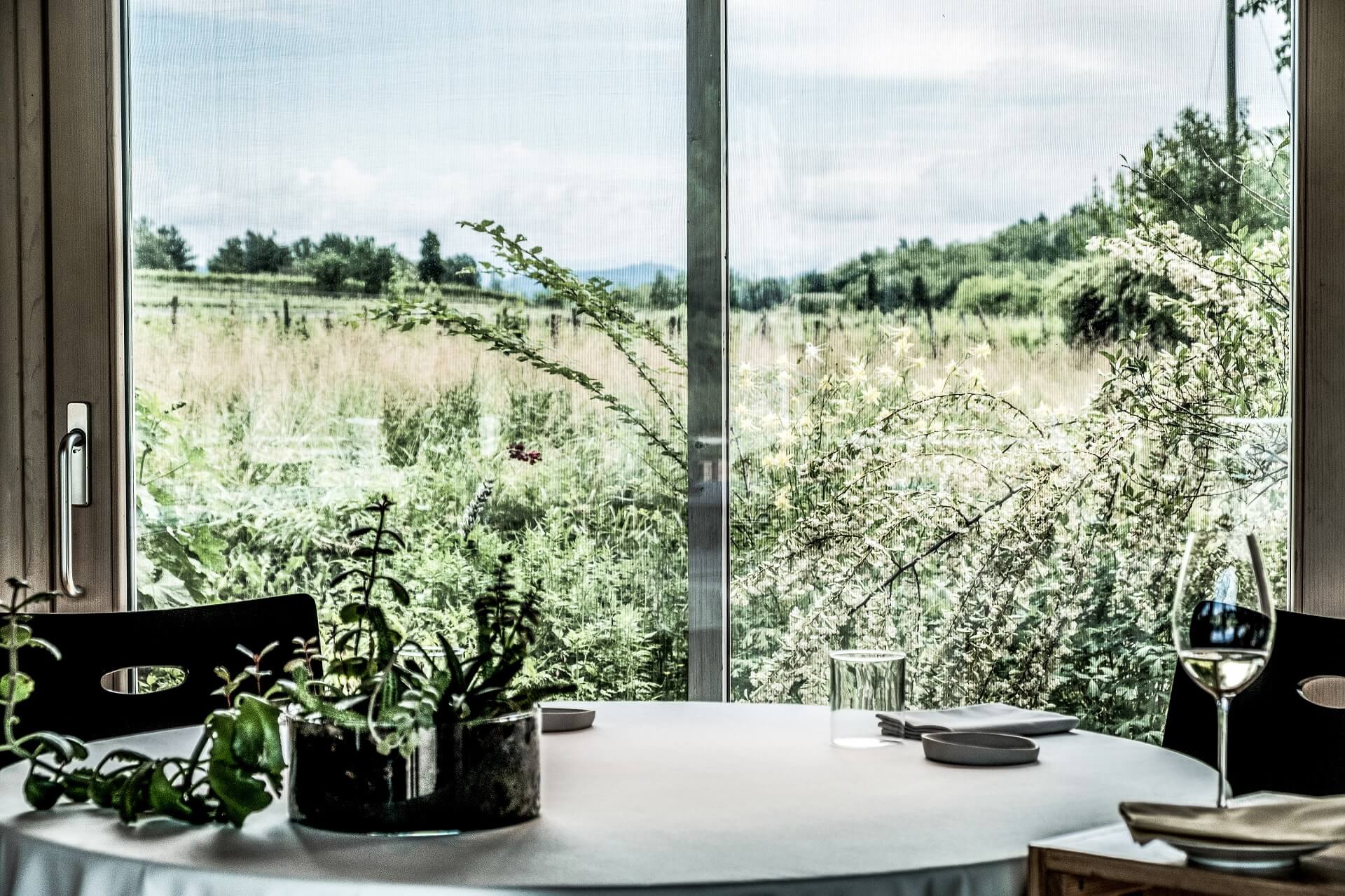 Blick aus dem Fenster Antonia Klugmann‘s Restaurant in Friaul