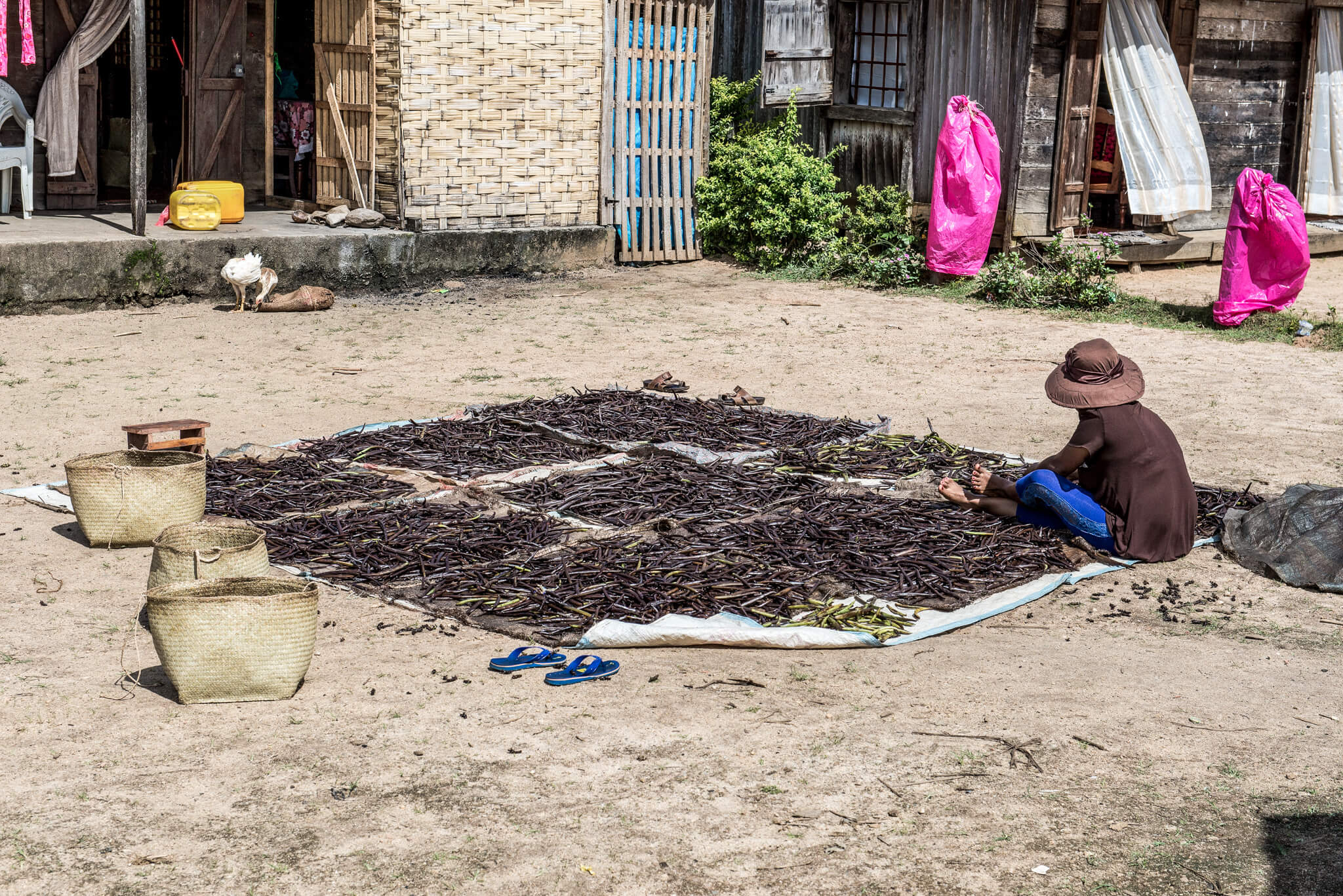 Although entire families earn their livelihood from the vanilla industry