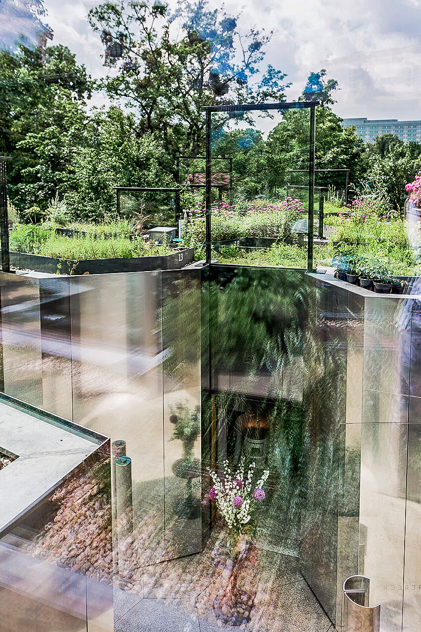 View into the herbal restaurant garden at Steirereck