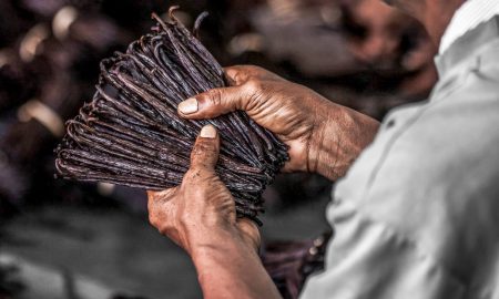 Vanilla after saffron the most expensive spice in the world