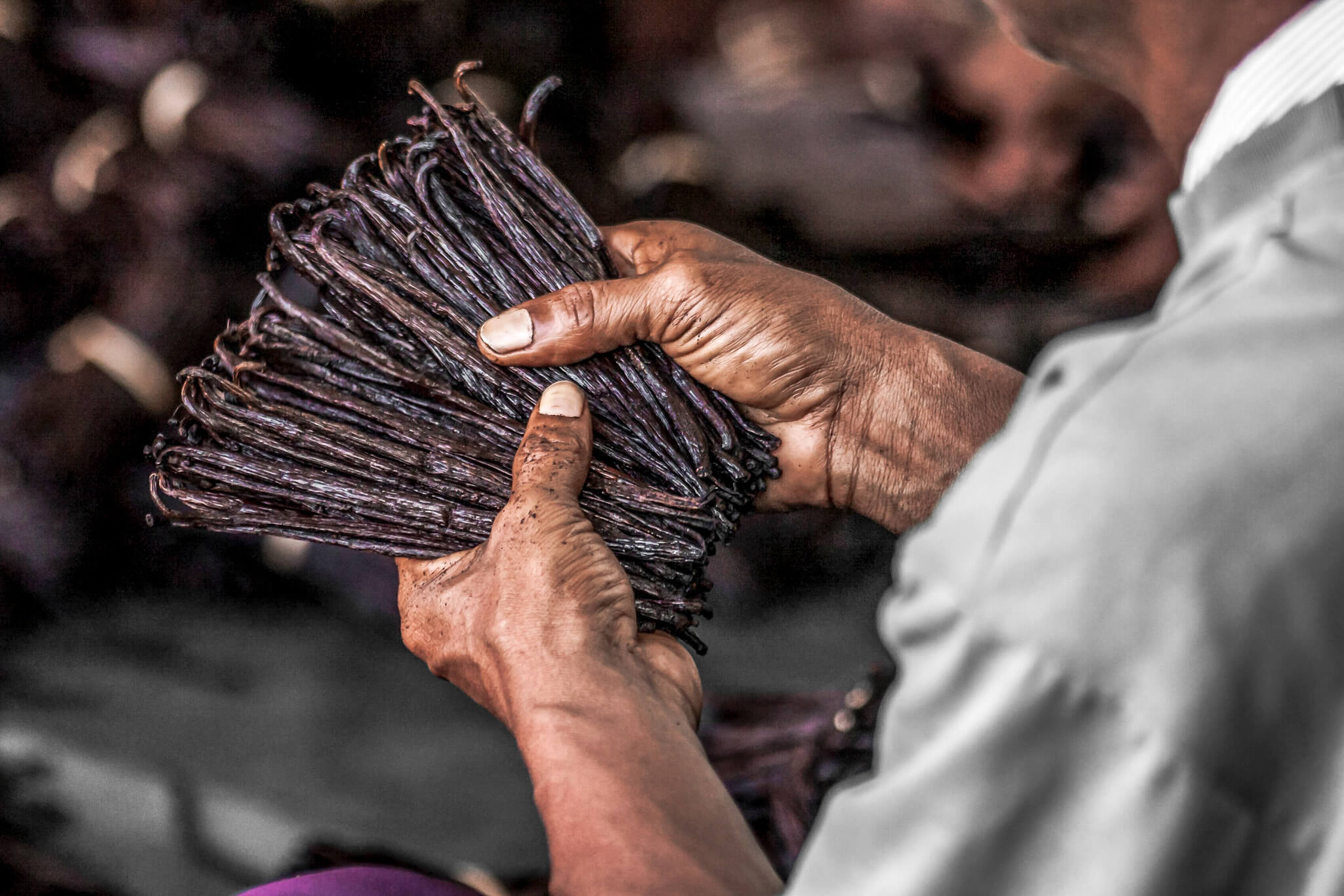 Vanilla after saffron the most expensive spice in the world