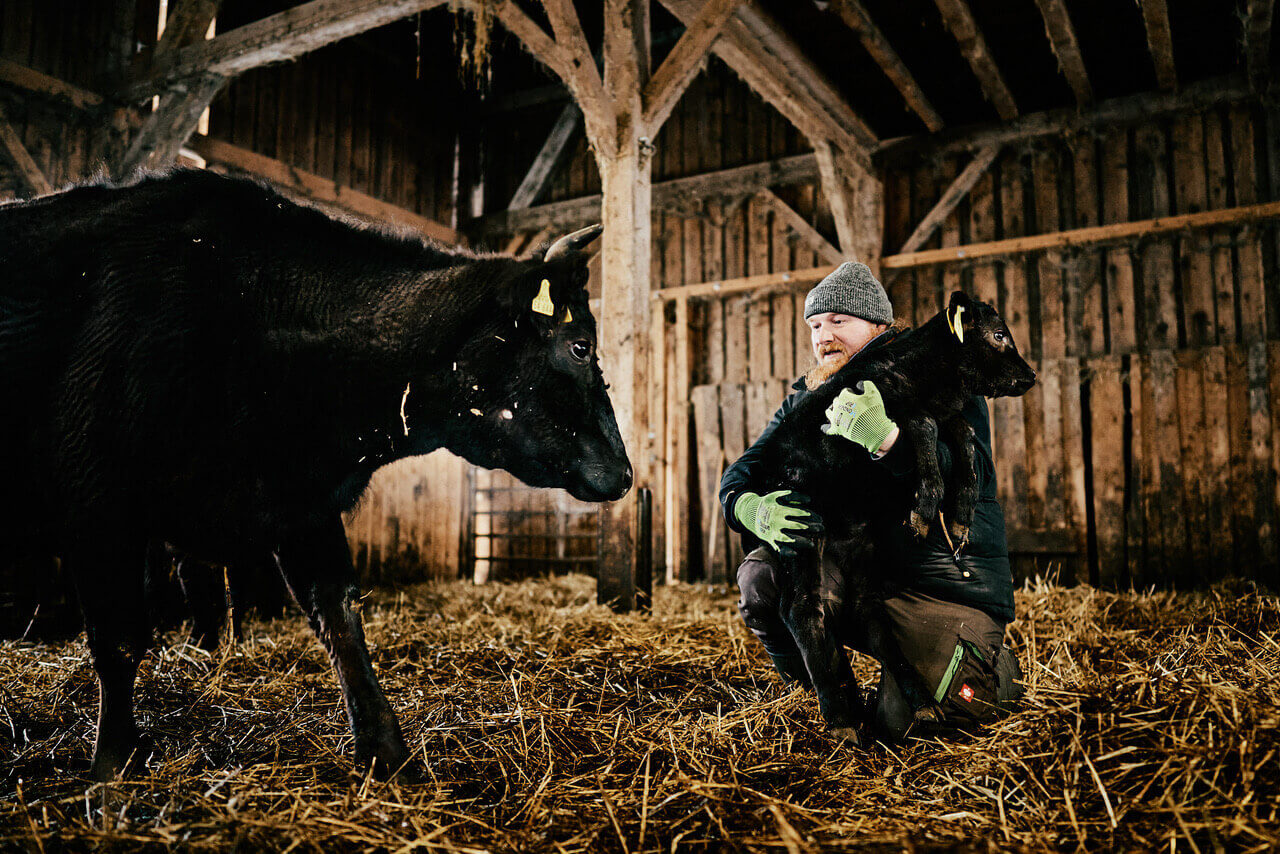 Lucki Maurer mit Kalb im Arm - als Farmer verfolgt er das Nose-to-tail in Perfektion