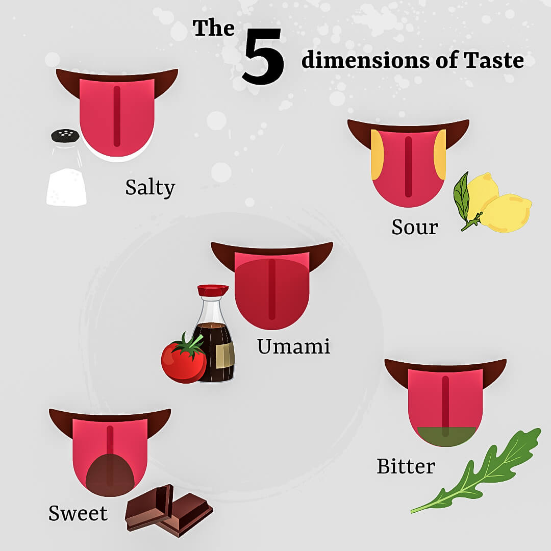 Unsere fünf Geschmacksrichtungen, unteranderem Umami