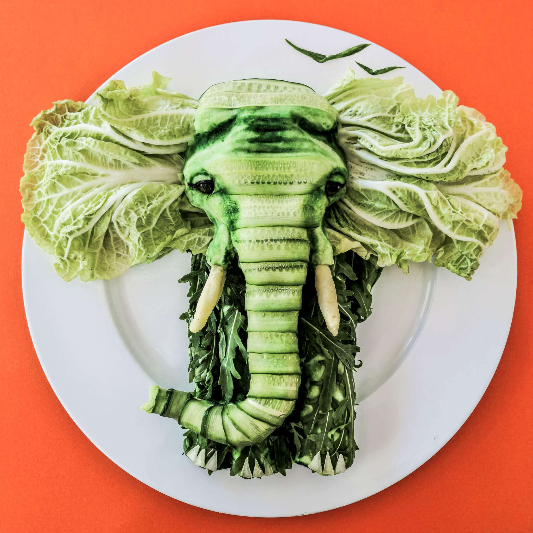 Appetizingly arranged elephant from lettuce leaves and cucumber