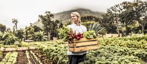 Acht Wege, wie die Gastronomie helfen kann gegen den Klimawandel zu kämpfen