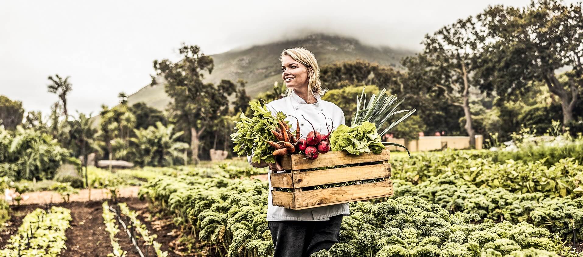 Un chef utiliza alimentos producidos localmente, primer paso de Blockchain