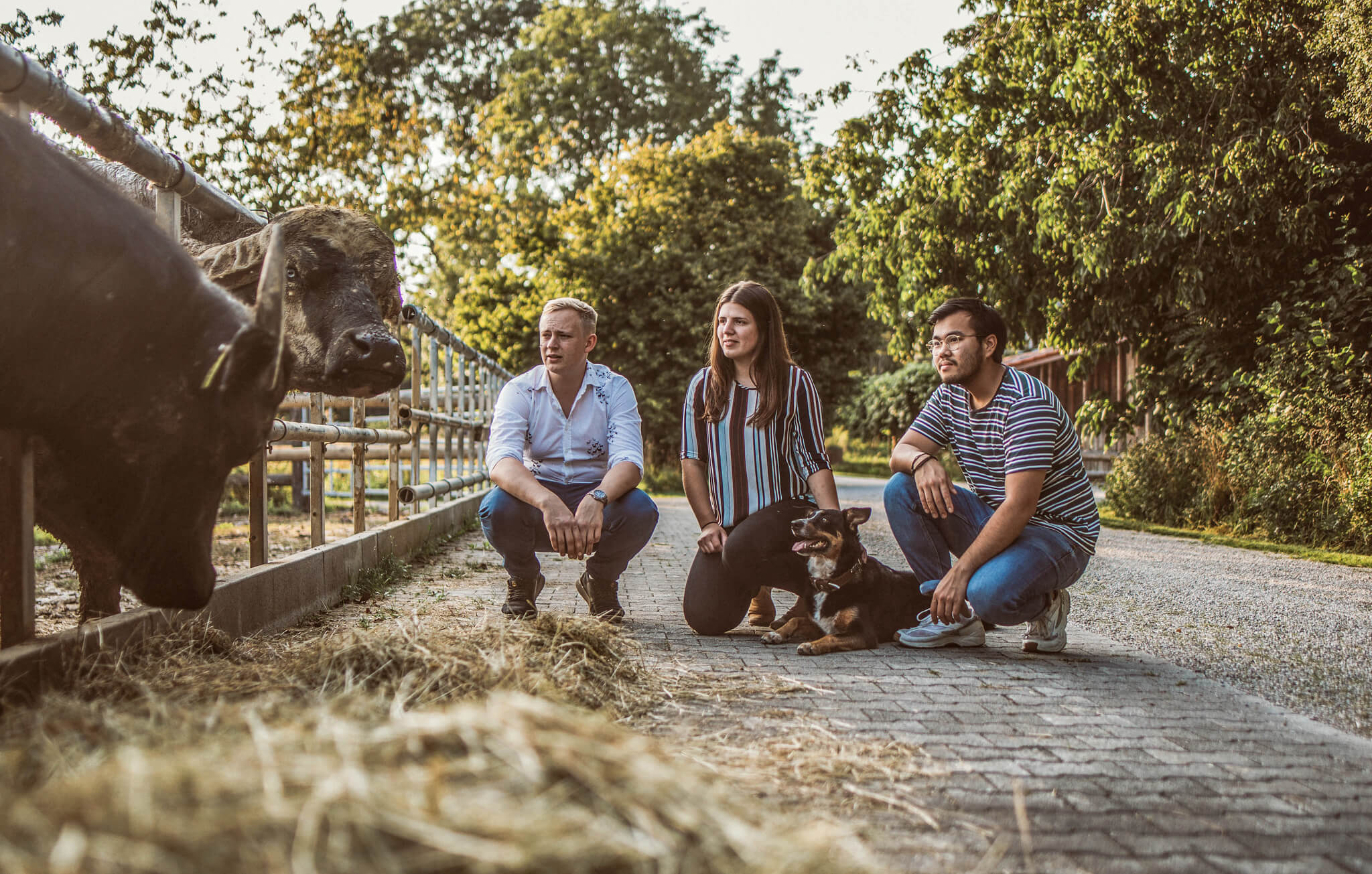 Das Koch-Trio (Valentin Schwencke , Amelie Schweisfurth und Vuong Pham Huu) vom Büffelhof im bayerischen Beuerbach.