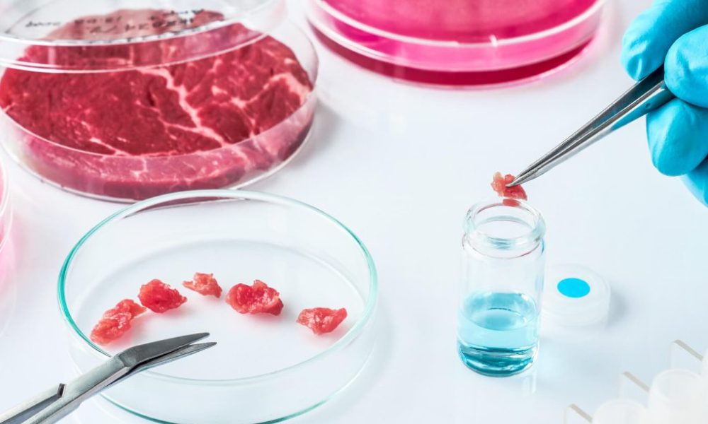 Blockchain in der Gastronomie vom Feld bis auf den Teller