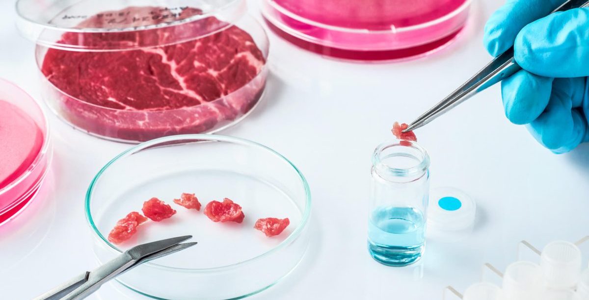 Carne in vitro de probeta 